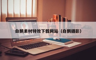 云浮白鹅素材特效下载网站（白鹅摄影）